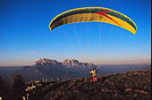 paraglider
